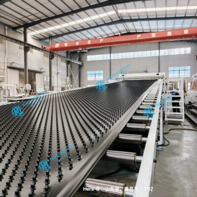 HDPE Anchoring Sheet Production Machine with Core Components Screw and Motor for PE ABS PP Plastics and Plate Applications